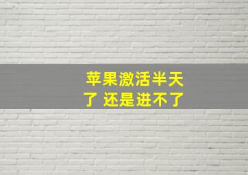 苹果激活半天了 还是进不了